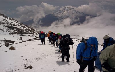 8 Days Lemosho route Kilimanjaro Trekking