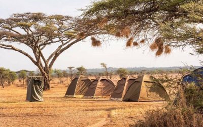 5 Days Serengeti and Ngorongoro Camping Safari