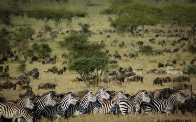 Serengeti National Park