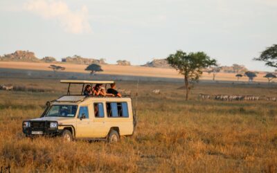 6 Day Tanzania Lodge Safari | Tarangire, Serengeti, Ngorongoro & Lake Manyara