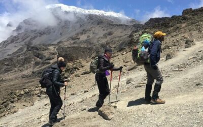 6 Days Kilimanjaro hike via Machame Route