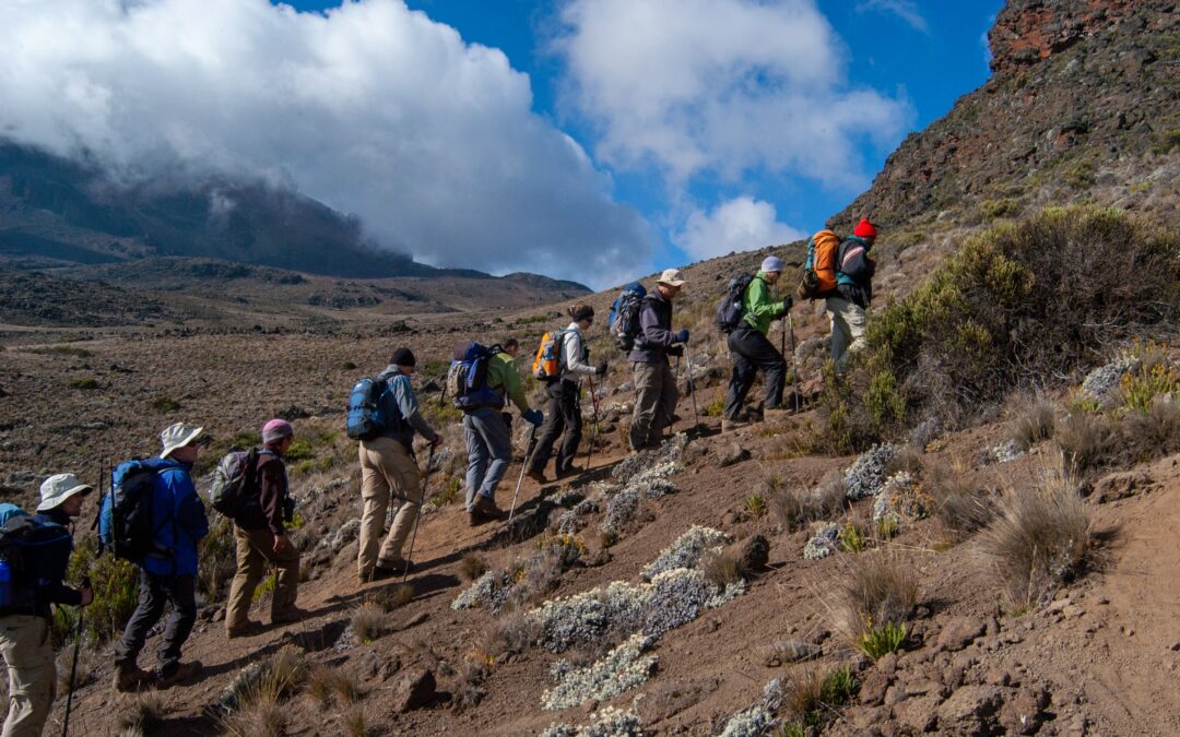 6 Day Kilimanjaro hike via Rongai Route