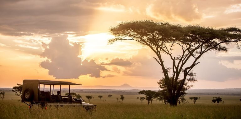 Exclusive-Serengeti-Title-Photo
