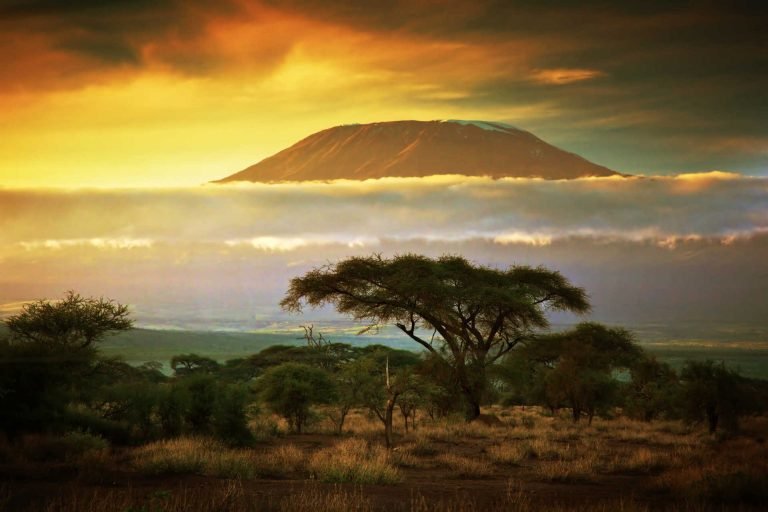 mt-kilimanjaro-with-clouds-and-sunset-adobe-stock-2450