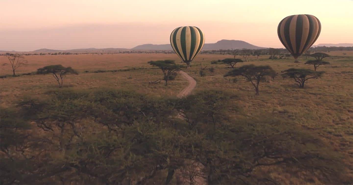 serengeti-balloon-safari-flight