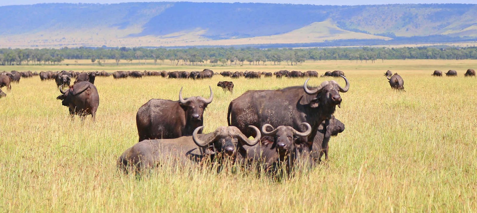 Ngorongoro-Conservation-Area