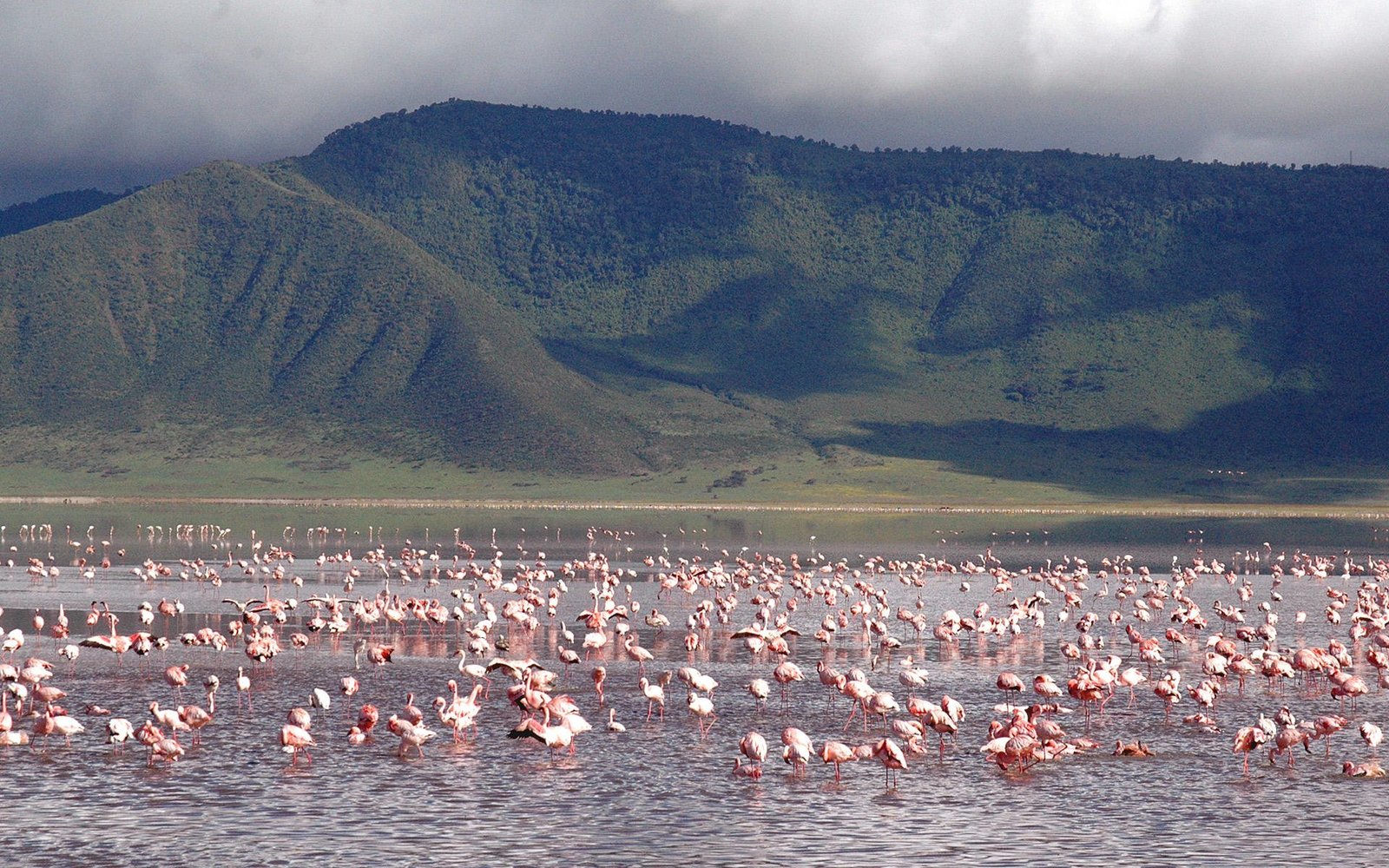 Ngorongoro Crater 2