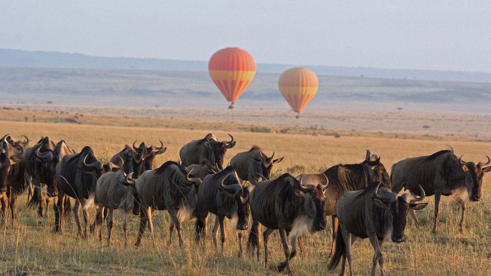 Serengeti-Balloon-Safari-andBeyond-Experience