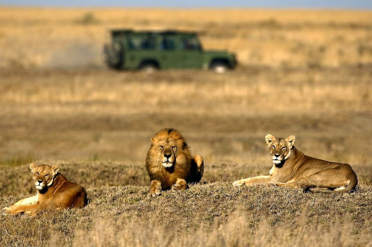 Serengeti-National-Park-Dece