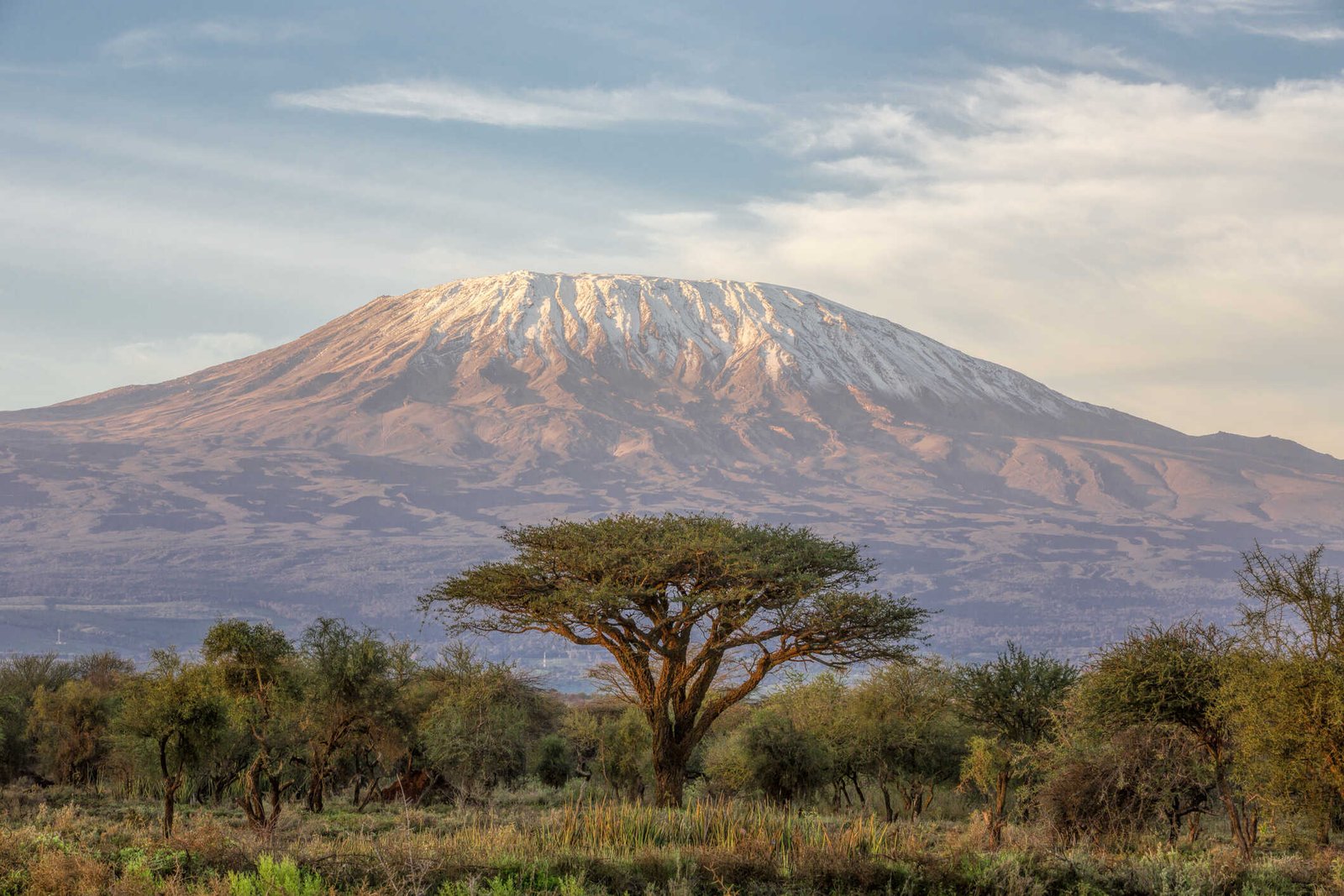 kilimanjaro