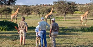 Walking Safaris in Tanzania
