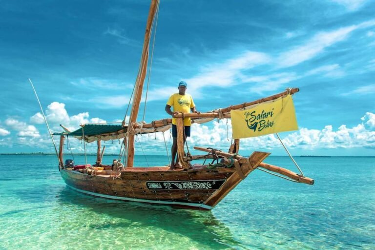 64a41bf7fd3c8f9b27b960b8_Safari Blue