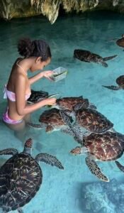 Zanzibar Beach Holiday