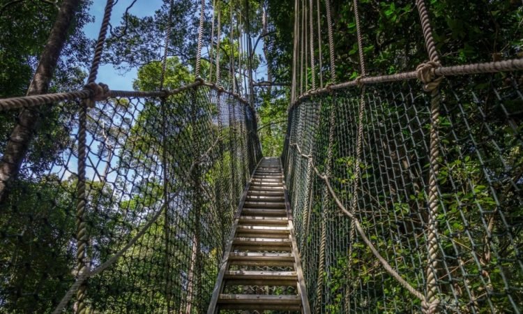 3-Day-From-Nairobi-To-Ngorongoro-Manyara-Tarangire-Tanzania-Joyous-Time-Expedition