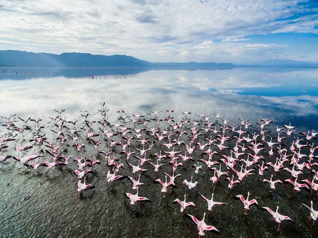 3-Day-From-Nairobi-To-Ngorongoro-Manyara-Tarangire-Tanzania-Joyous-Time-Expedition