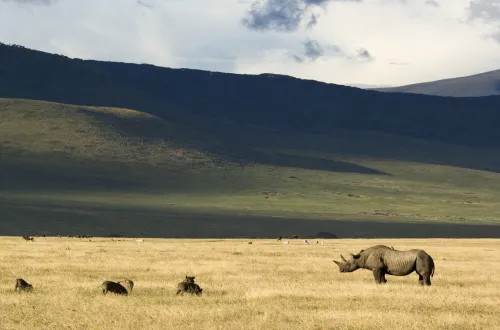 3-Day-From-Nairobi-To-Ngorongoro-Manyara-Tarangire-Tanzania-Joyous-Time-Expedition