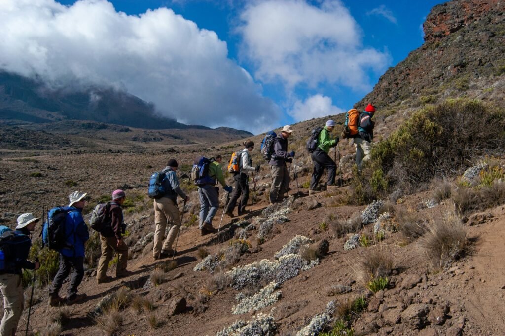 Kilimanjaro Hiking Lemosho Route Tanzania Joyous Time