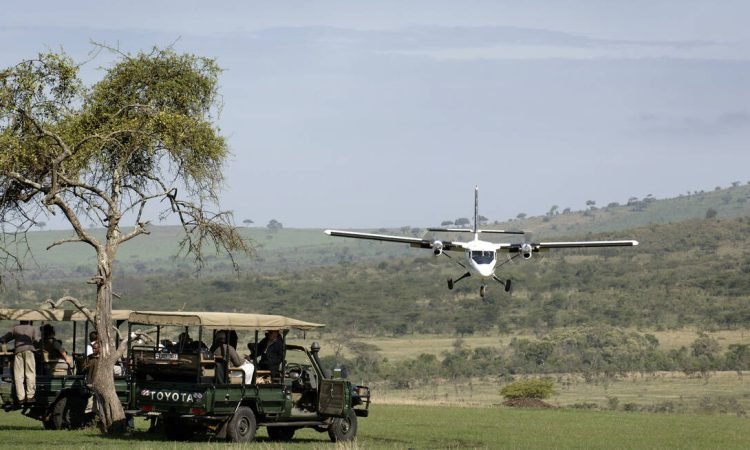 Tanzania Fly in Safari Tanzania Joyous Time Manyara National Park