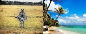 Tanzania Joyous Time Bush and Beach Safari-