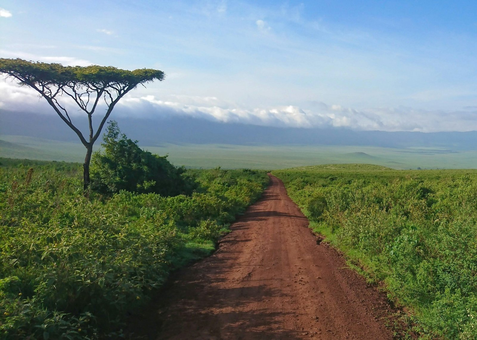 Kenya To Tanzania Safari Masai Mara Serengeti Ngorongoro Crater Tanzania Joyous Time Expedition