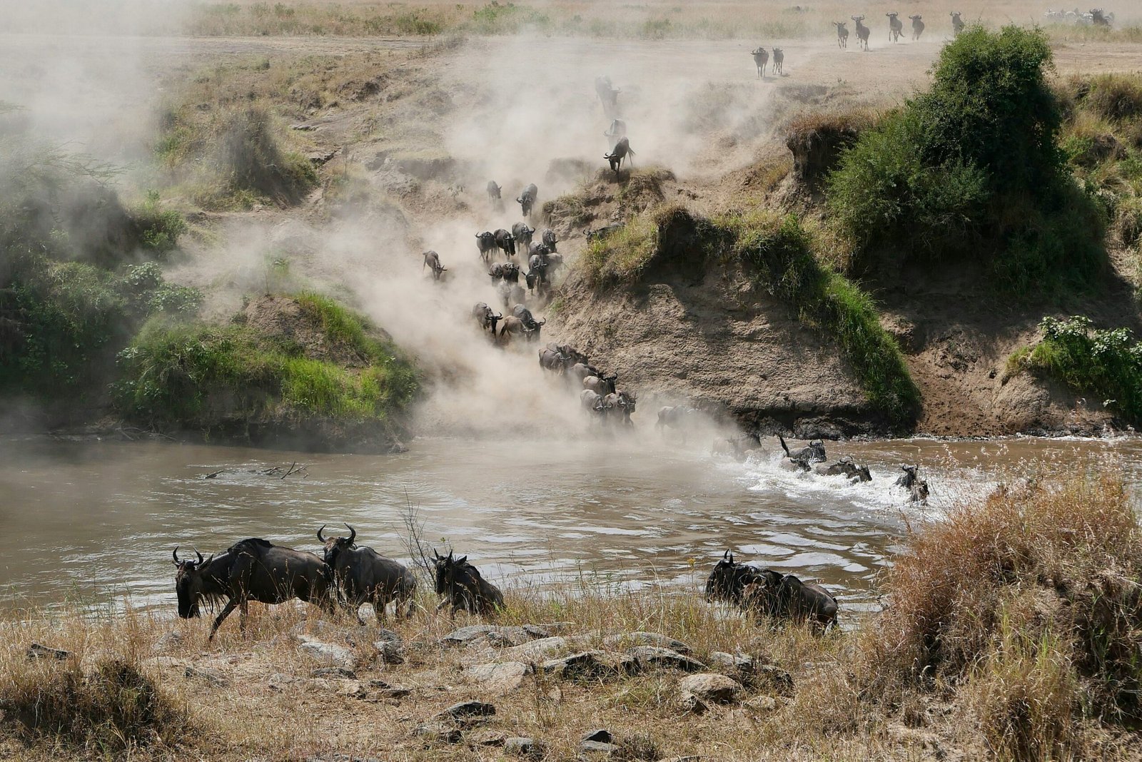 kenya-to-tanzania-safari-masai-mara-serengeti-ngorongoro-crater (5)