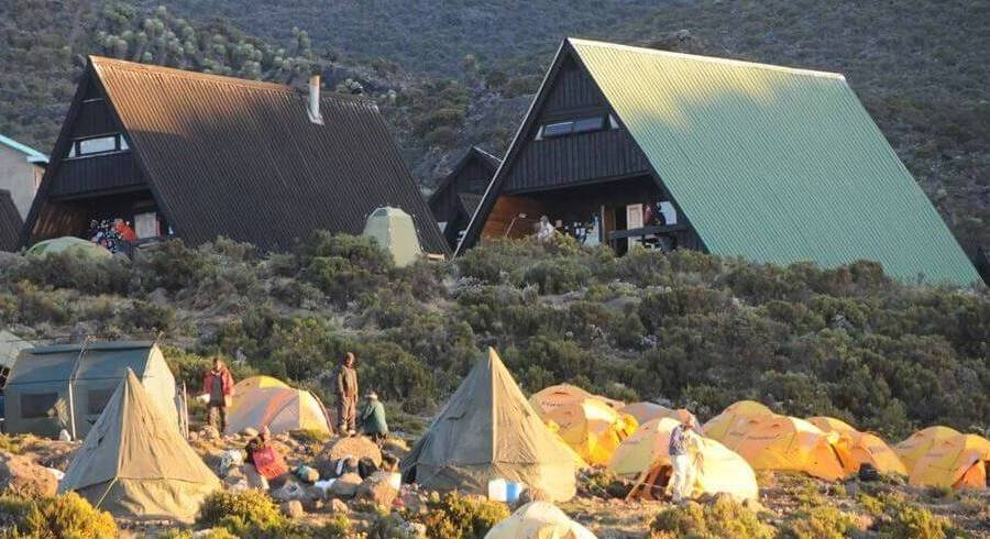 Kilimanjaro-Day-Trip-Marangu-Route-Tanzania-Joyous-Time-Expedition