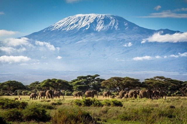 Kilimanjaro-Day-Trip-Marangu-Route-Tanzania-Joyous-Time-Expedition