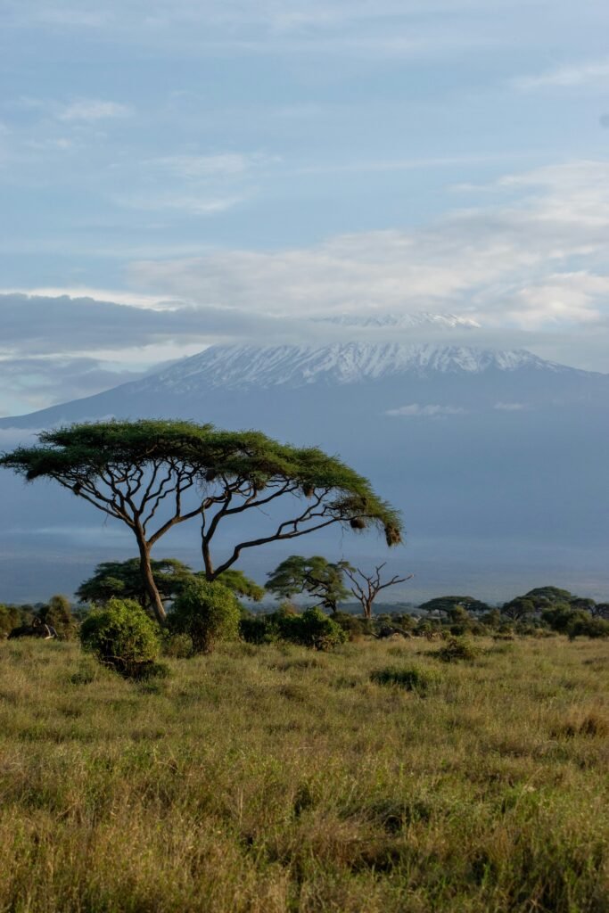 Kilimanjaro Lemosho Day Trip Tanzania joyous Time Expedition