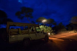 Ngorongoro Night Game Tanzania Joyous Time