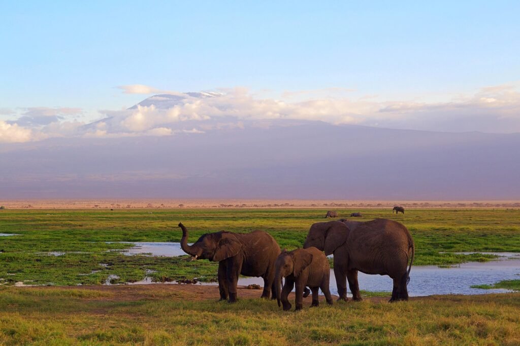 3-Day-Tanzania-Safari-Tarangire-Ngorongoro-Lake-Manyara