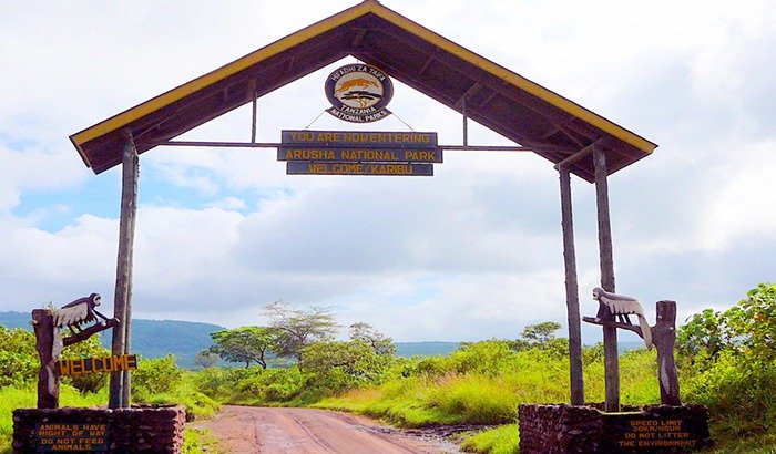 Arusha-Nationalpark-Safari-Tanzania-Joyous-Time-Expedition