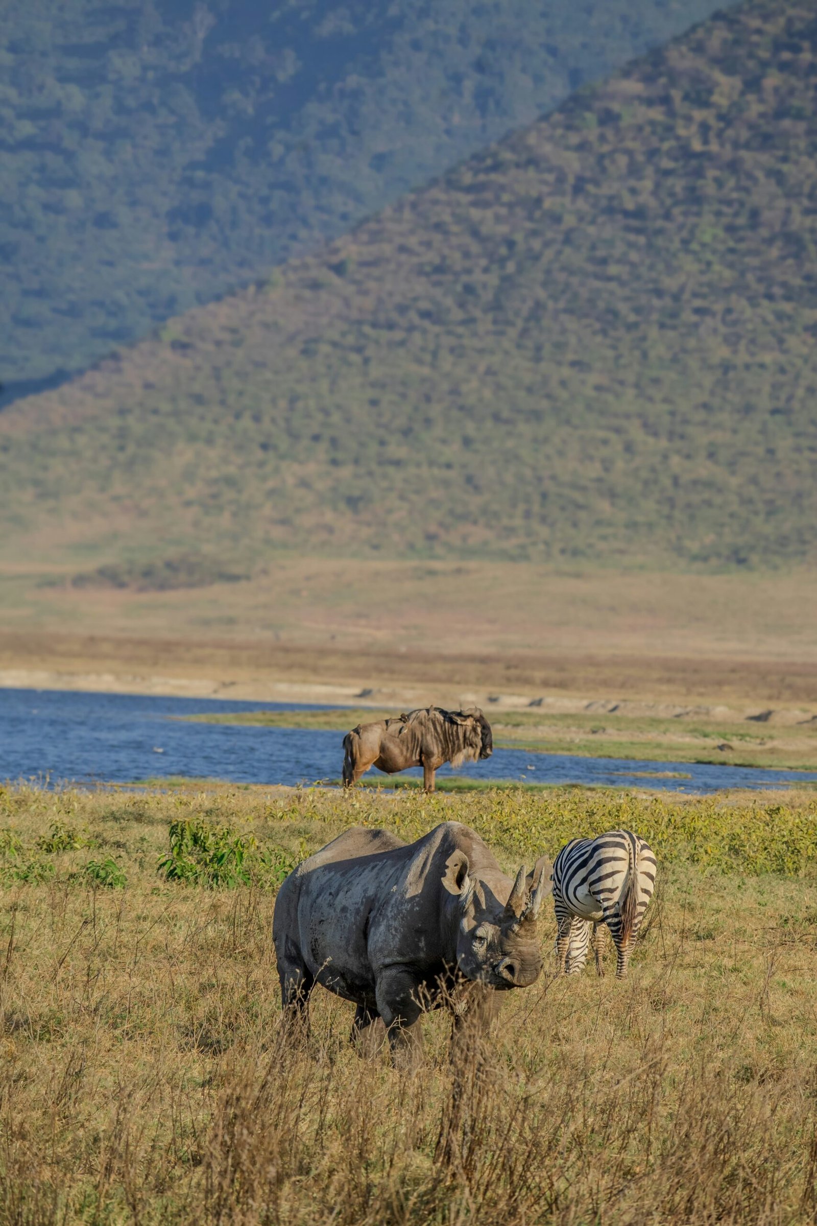 arusha-tarangire-ngorongoro-lake-manyara-safari (4)