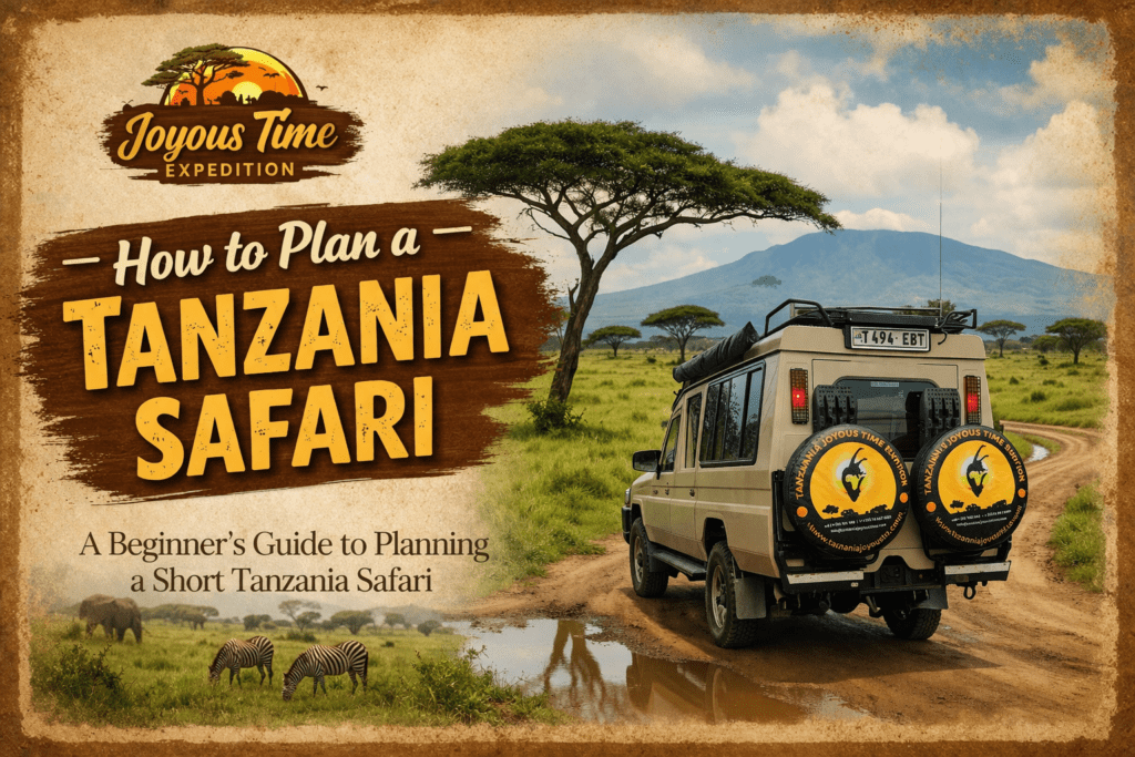 How to plan a Tanzania Safari Joyous Time Expedition