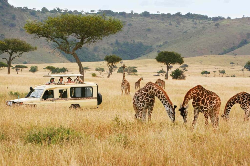 Kenya vs Tanzania Safari comparison