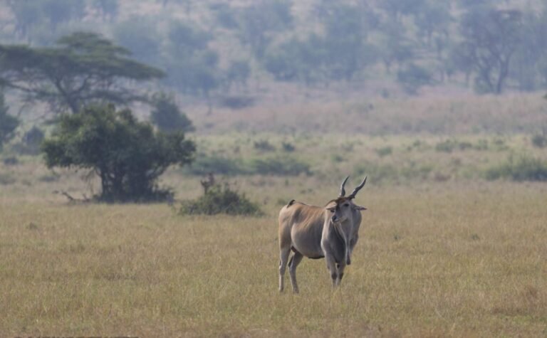 tansania-safari-reisen-19