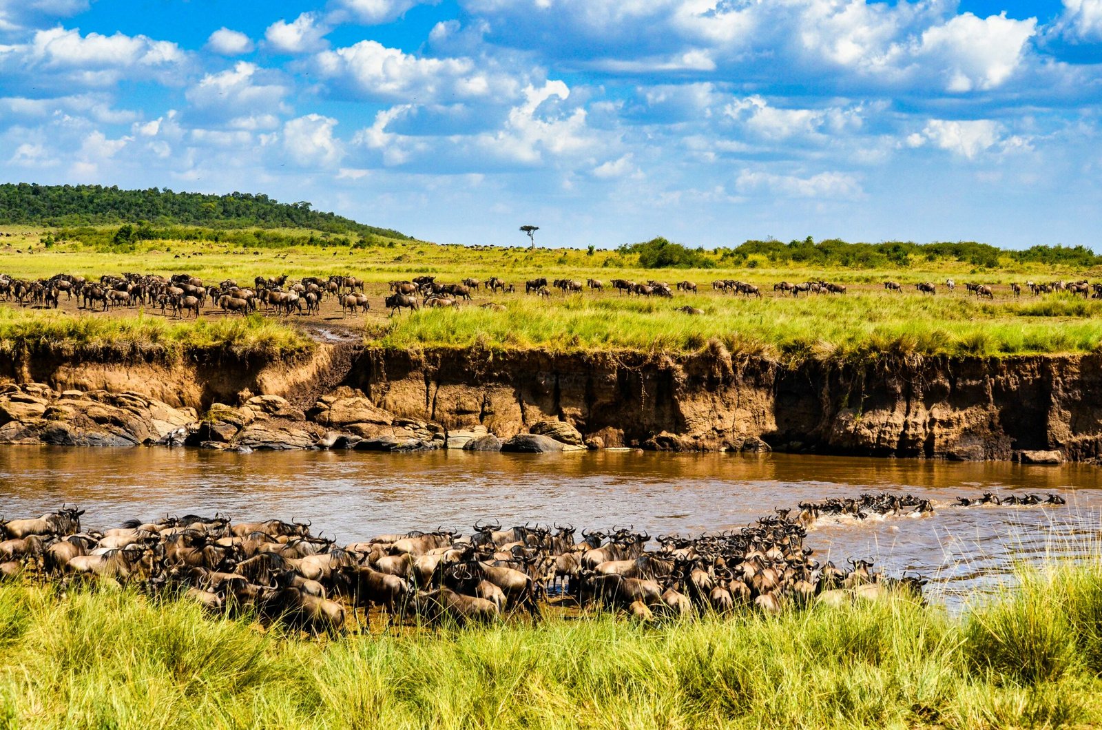 Zanzibar Serengeti Masai Mara Private Safari Joyous Time Expedition