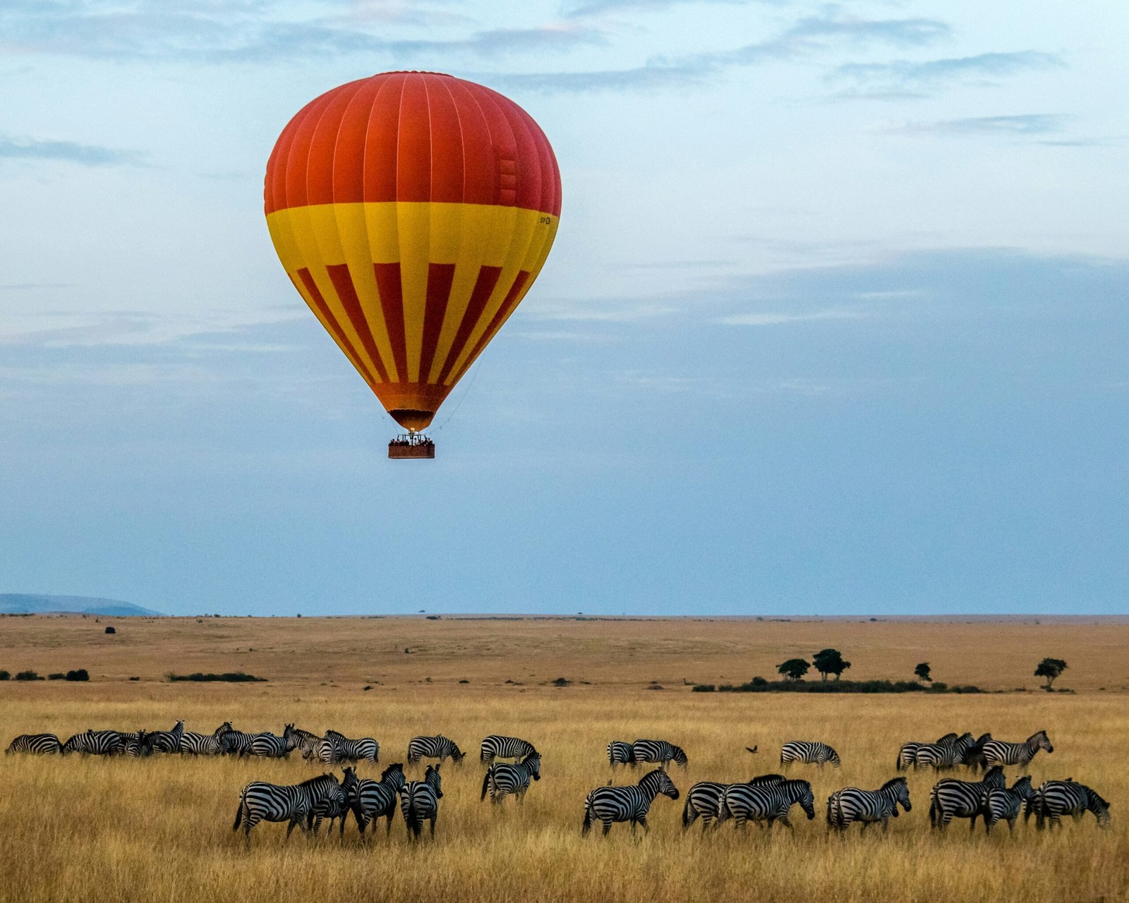 Zanzibar Serengeti Masai Mara Private Safari Tanzania Joyous Time Expedition