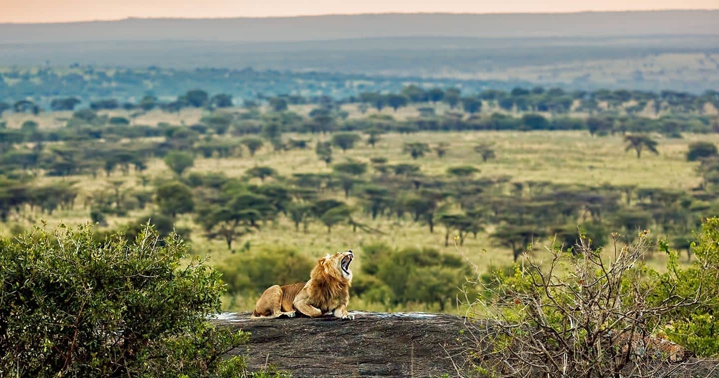 Zanzibar-Serengeti-Masai-Mara-Safari-Tanzania-Joyous-Time-Expedition