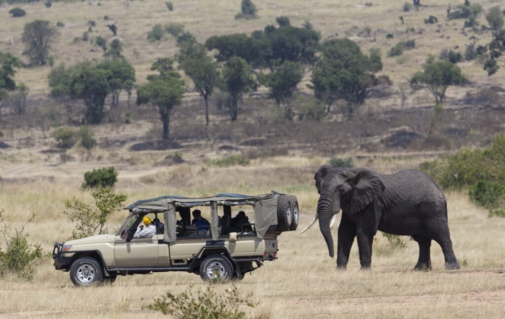 Zanzibar Serengeti Masai Mara Safari