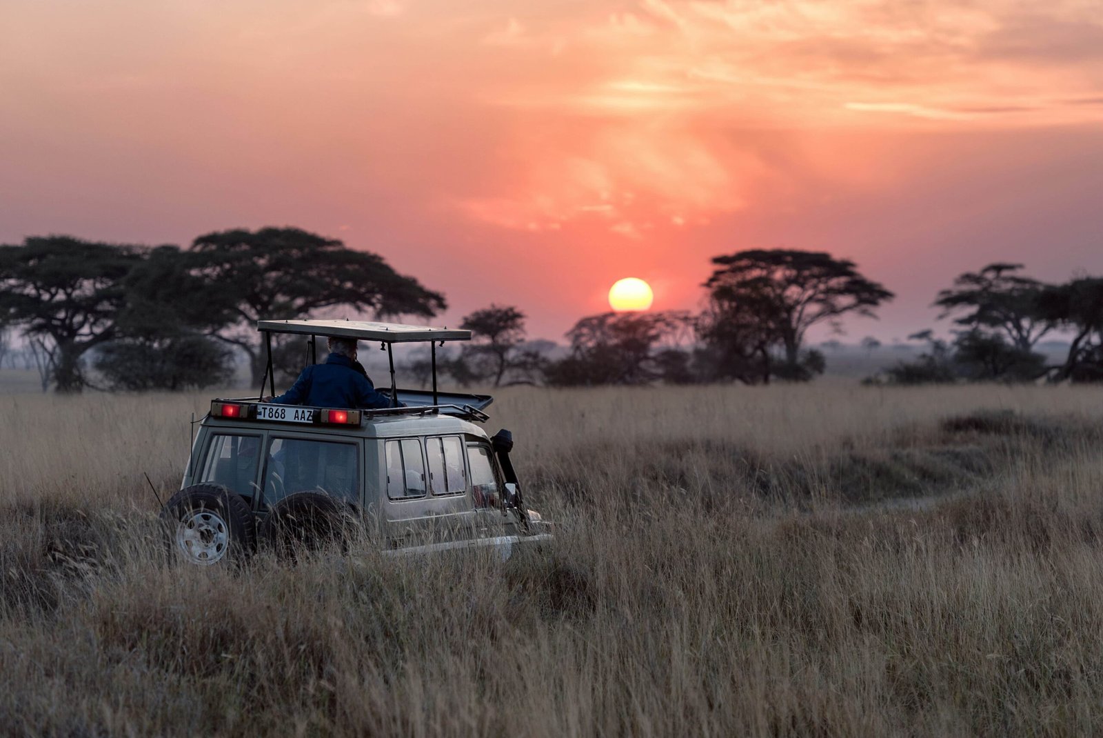 3-Day-Serengeti-Safari-From-Arusha-Tanzania-Joyous-Time-Expedition