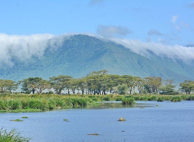 3-Day-Serengeti-Safari-From-Arusha-Tanzania-Joyous-Time-Expedition