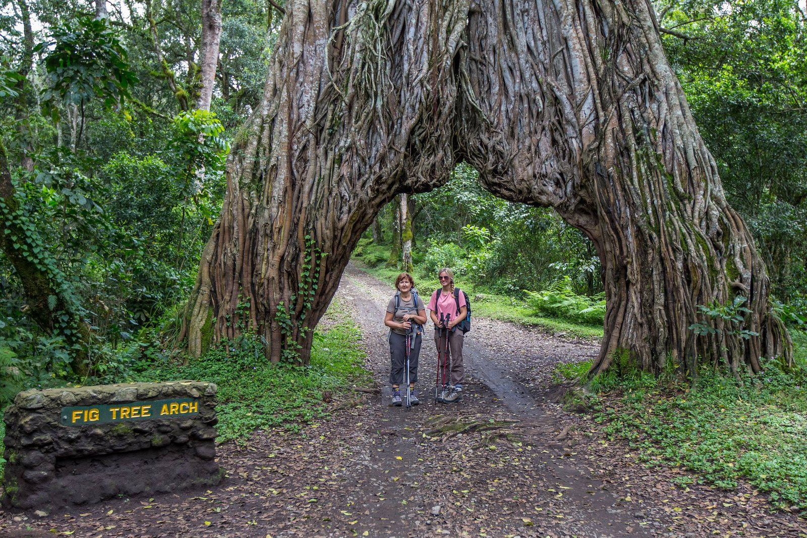 Tansania-Safari-Sansibar-17-Tage-Tanzania-Joyous-Time