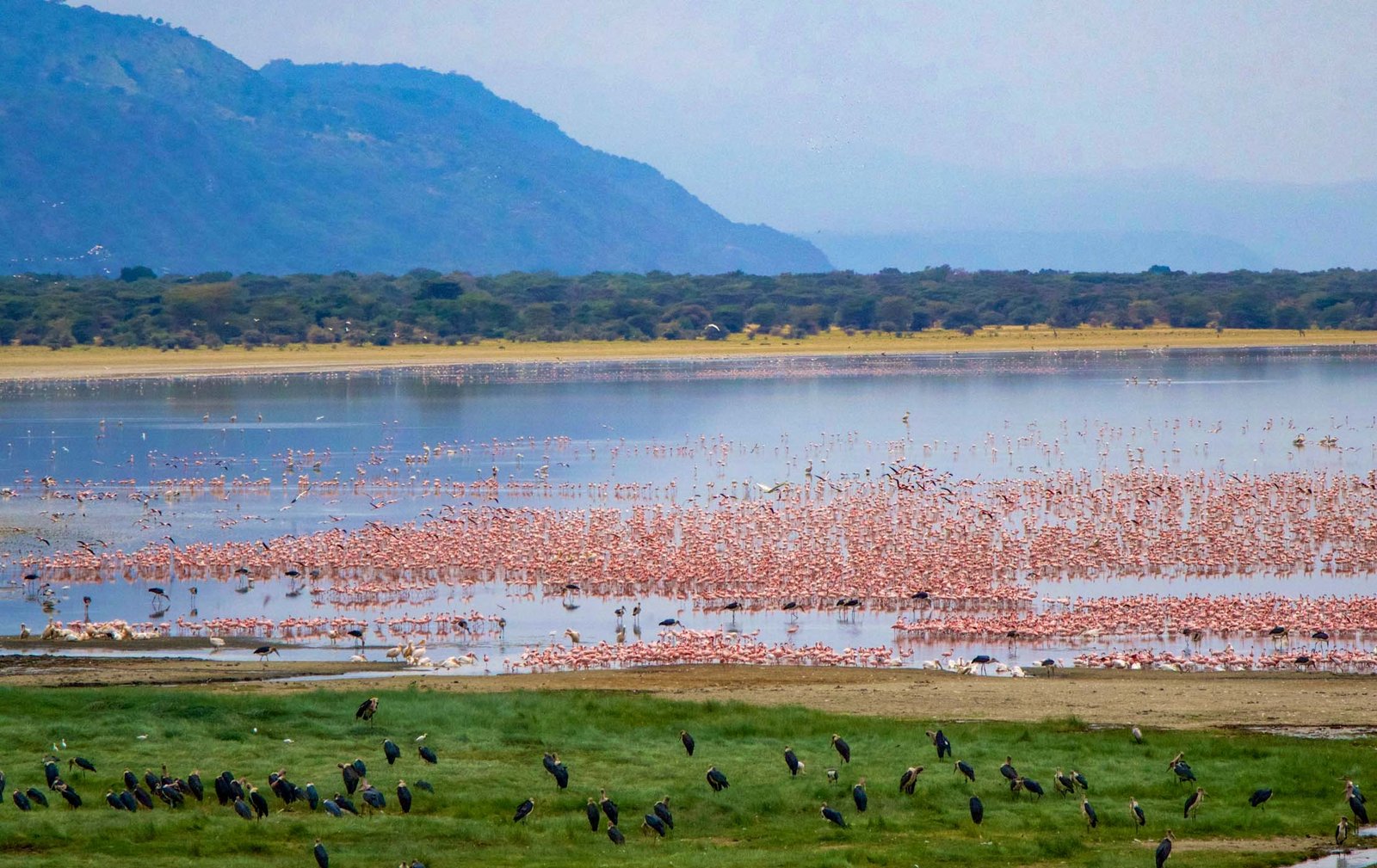 Tansania Safari Sansibar-17-Tage-Tanzania-Joyous-Time