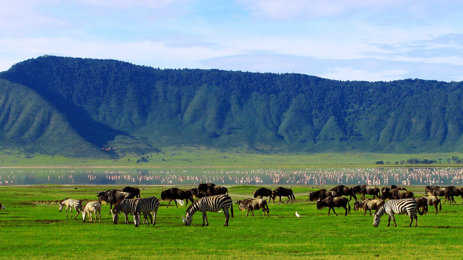 Tansania-Safari-Sansibar-17-Tage-Tanzania-Joyous-Time