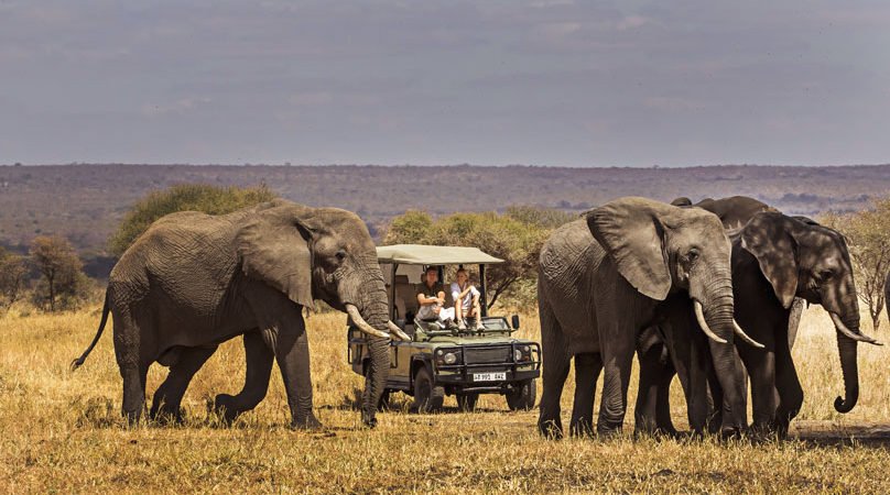 Tansania-Safari-Sansibar-17-Tage-Tanzania-Joyous-Time