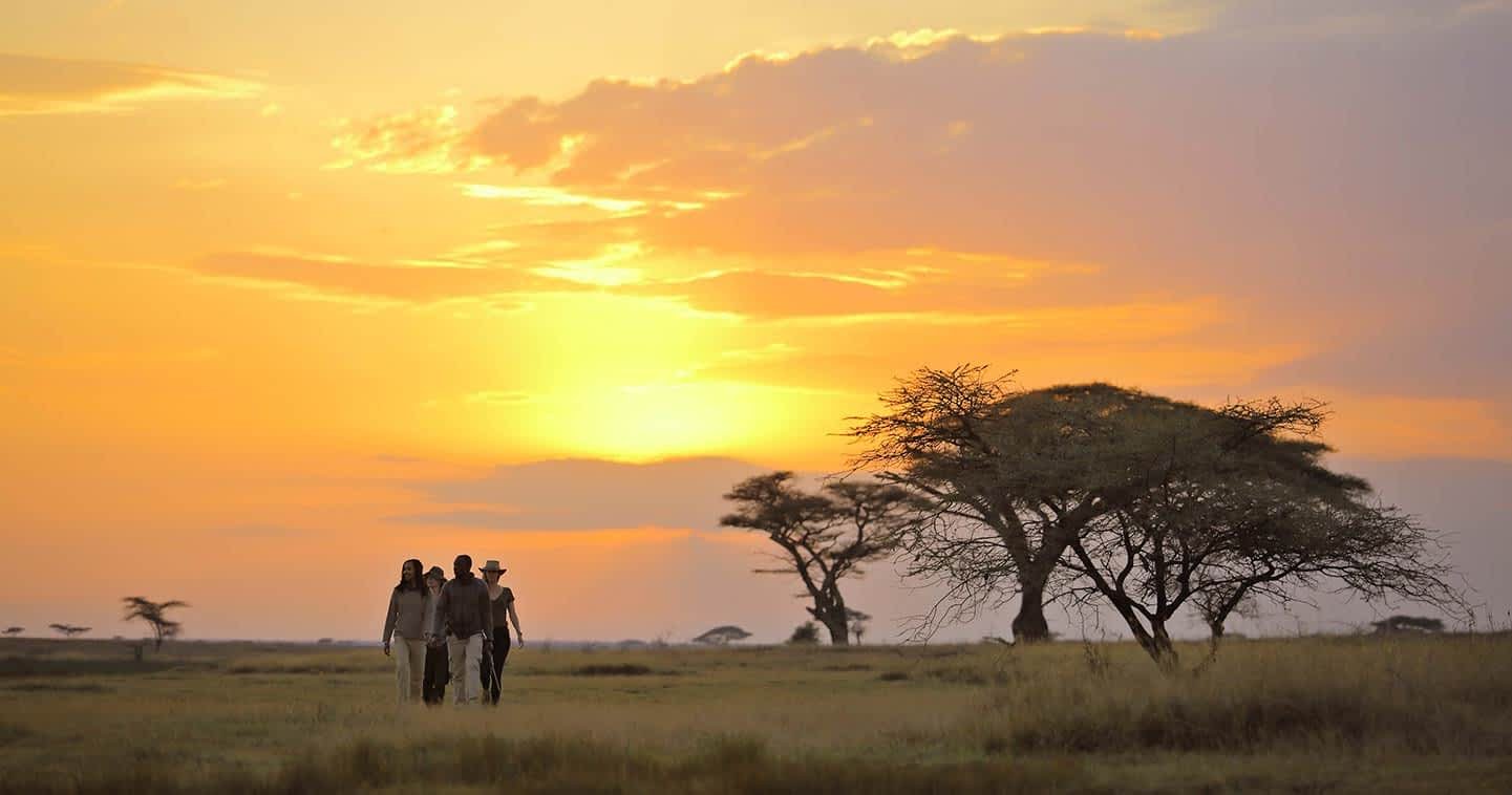 Tansania-Safari-Sansibar-17-Tage-Tanzania-Joyous-Time