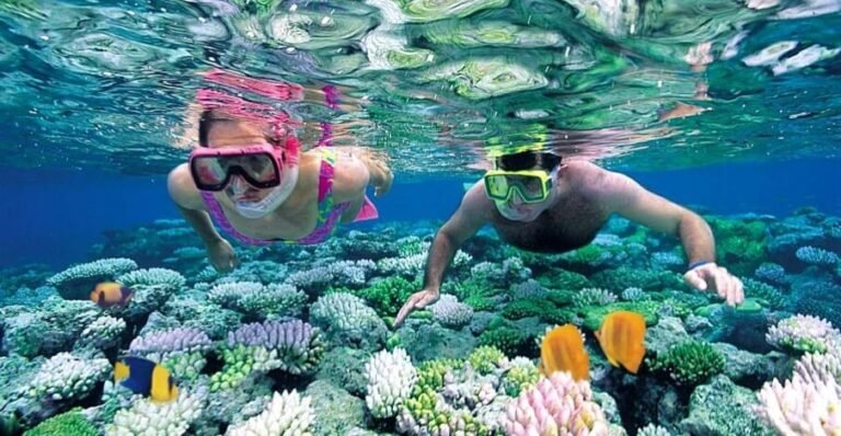 zanzibar-island-holidays-beach-tours-3