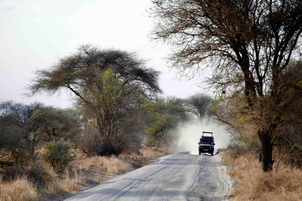 Zanzibar To Tarangire Fly in Safari