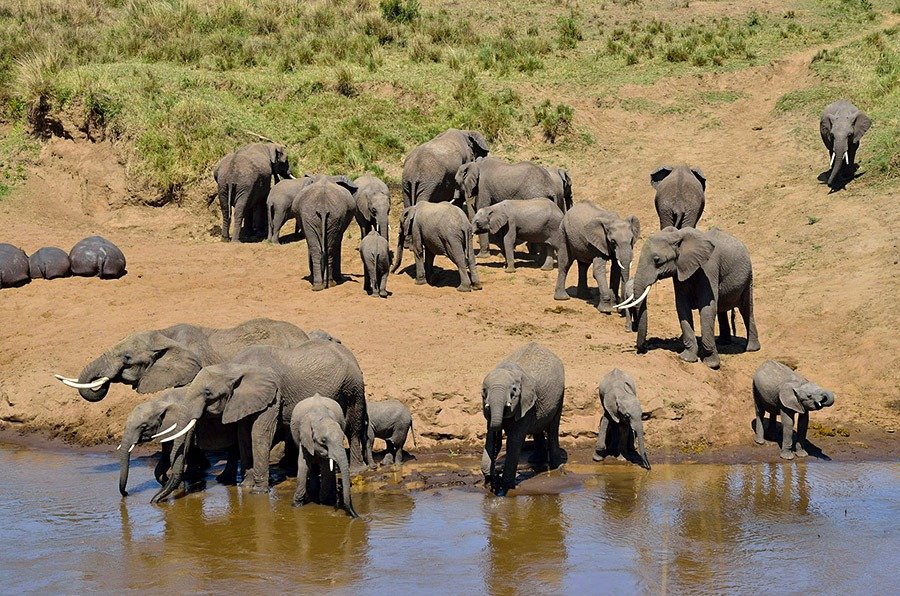 Zanzibar-To-Tarangire-Fly-In-Safari-Tanzania-Joyous-Time-Expedition