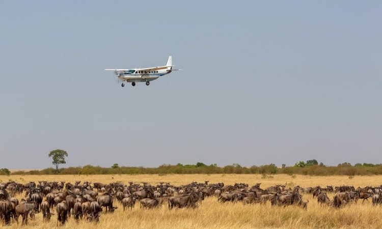 Luxury-Fly-in-Safari-Tanzania